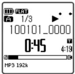FLAT 1/3 100101_0000 0:45 4:19 MP3 192k
