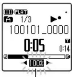 100 FLAT A 1/3 100101_0000 0:05 0:14 S 100% B