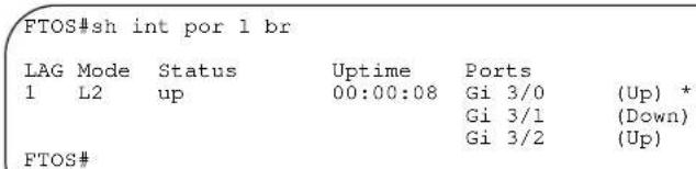 FTOS#sh int por 1 br LAG Mode Status Uptime Ports 1 L2 up 00:00:08 Gi 3/0 (Up) * Gi 3/1 (Down) Gi 3/2 (Up) FTOS#