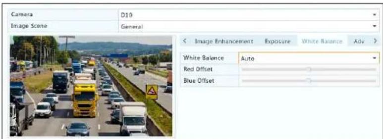 Camera D10 Image Scene General < Image Enhancement Exposure White Balance Adv > White Balance Auto Red Offset Blue Offset