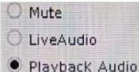 ○ Mute ○ LiveAudio ● Playback Audio