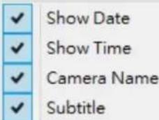 ✓ Show Date ✓ Show Time ✓ Camera Name ✓ Subtitle