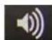 Planet NVR-915 - Playback on Internet Explorer - 12