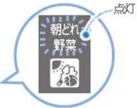 朝どれ 野菜 点灯