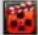 KT&C ENR-P8PX8 - Live View Icons - 1