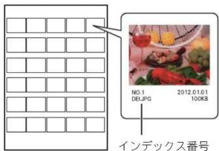 NO.1 DBJPG 2012.01.01 100KB インデックス番号