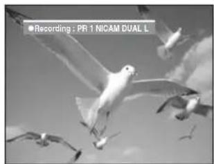 ●Recording : PR 1 NICAM DUAL L