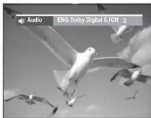 Audio ENG Dolby Digital 5.1CH