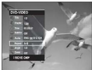 DVD-VIDEO Title 1/2 Copy 1/20 Time 0:30:01 Paste Off Audio EKG 0 D S ICH Arrow A-B Arrow 1/3 Zoom Off +MOVE ONIP