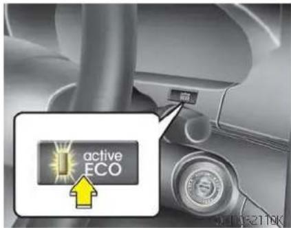 active ECO