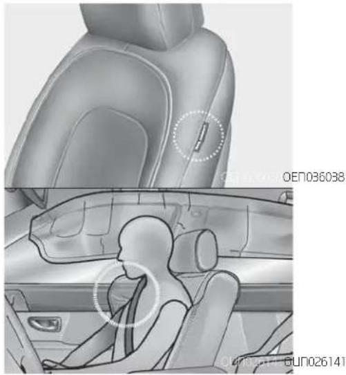 HYUNDAI Veracruz (2015) - 경고 - 1