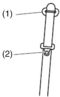 (1) (2)