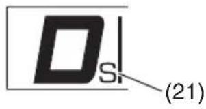 D S (21)