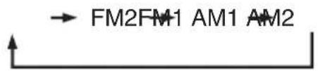 MAZDA Carrol (2013) - ■ FM/AMを選ぶ - 2