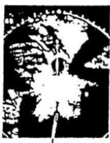 FURUNO 1731 Mark-3 - Measurement of Blind Shadow Sectors - 1