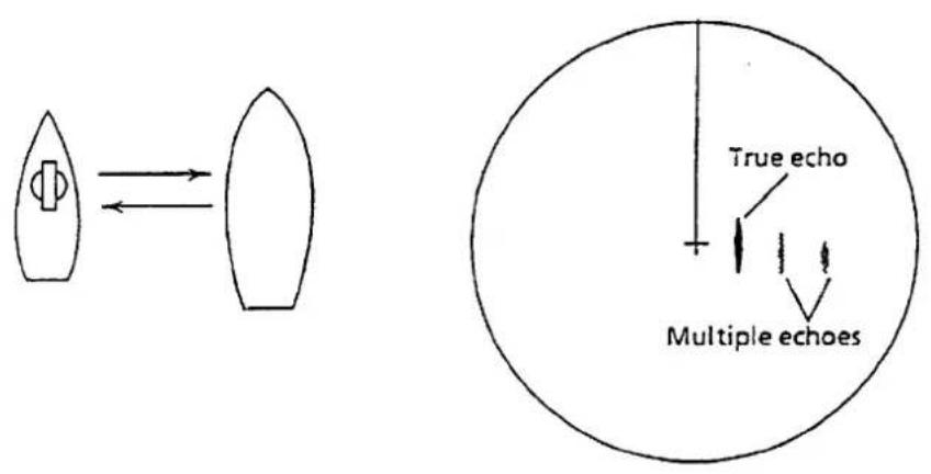 True echo Multiple echoes