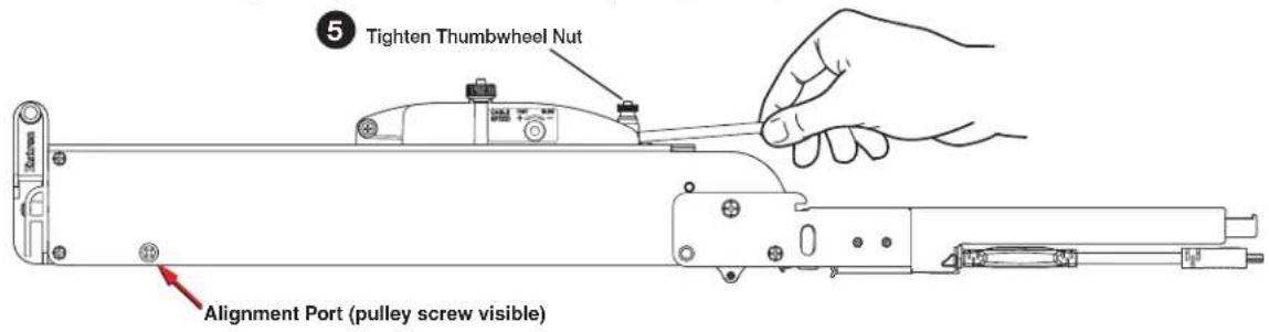 5 Tighten Thumbwheel Nut Alignment Port (pulley screw visible)
