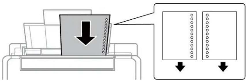 EPSON EcoTank EP-M570T - シートフィーダーに印刷用紙をセットする - 5