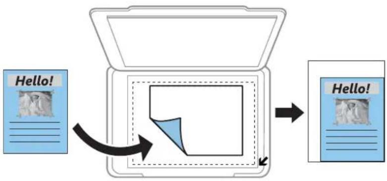 EPSON EcoTank EP-M570T - 倍率 - 1