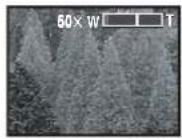 PANASONIC NV-GS60GC - ฟังก์ชันชุมเข้า/ออก - 9