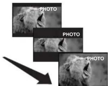 PHOTO PHOTO PHOTO