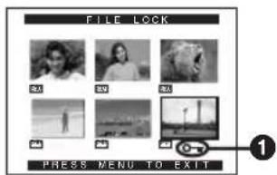 FILE LOCK 04 05 06 07 08 09 1 PRESS MENU TO EXIT