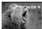 PANASONIC NV-GS50EN - Slide Show - 5