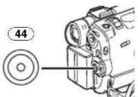 44