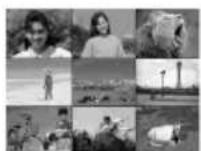 PANASONIC NV-GS50EN - ■ Multi-Picture Mode Strobe Multi-Picture Mode: - 2