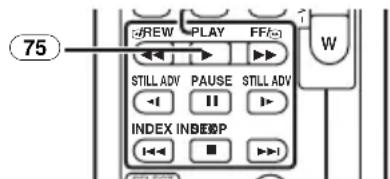 75 GREW PLAY FF STILL ADV PAUSE STILL ADV INDEX INDEOP