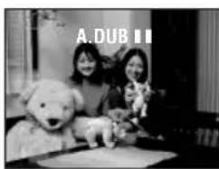 A.DUB II
