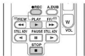 ●REC A.DUB /REW PLAY FF/ STILL ADV PAUSE STILL ADV STOP W VOL