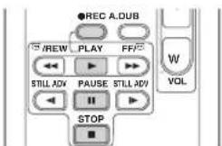 ●REC A.DUB REW PLAY FF STILL ADV PAUSE STILL ADV STOP W VOL