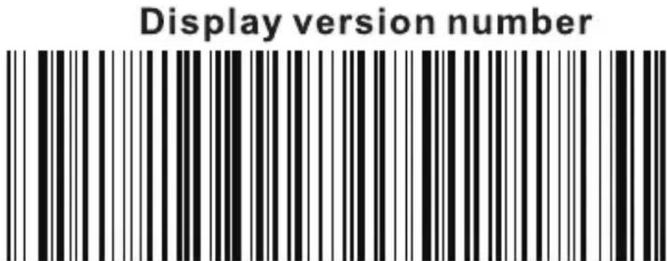 Display version number