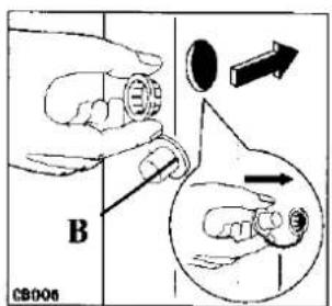 B CB006