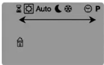 Auto P