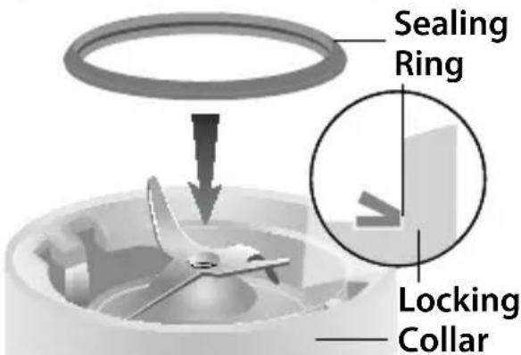 Sealing Ring Locking Collar