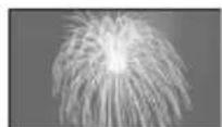 SONY Handycam DCR-DVD910 - FIREWORKS\* ( ) - 1