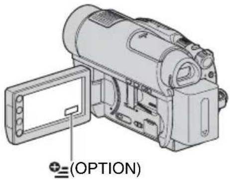 (OPTION)