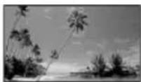 SONY Handycam DCR-DVD910 - BEACH\*\* (7.) - 1