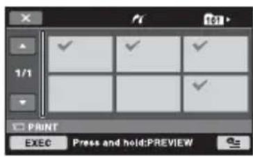 1/1 PRINT EXEC Press and hold:PREVIEW