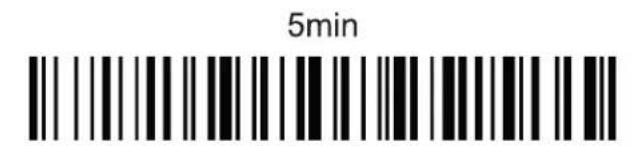 5min