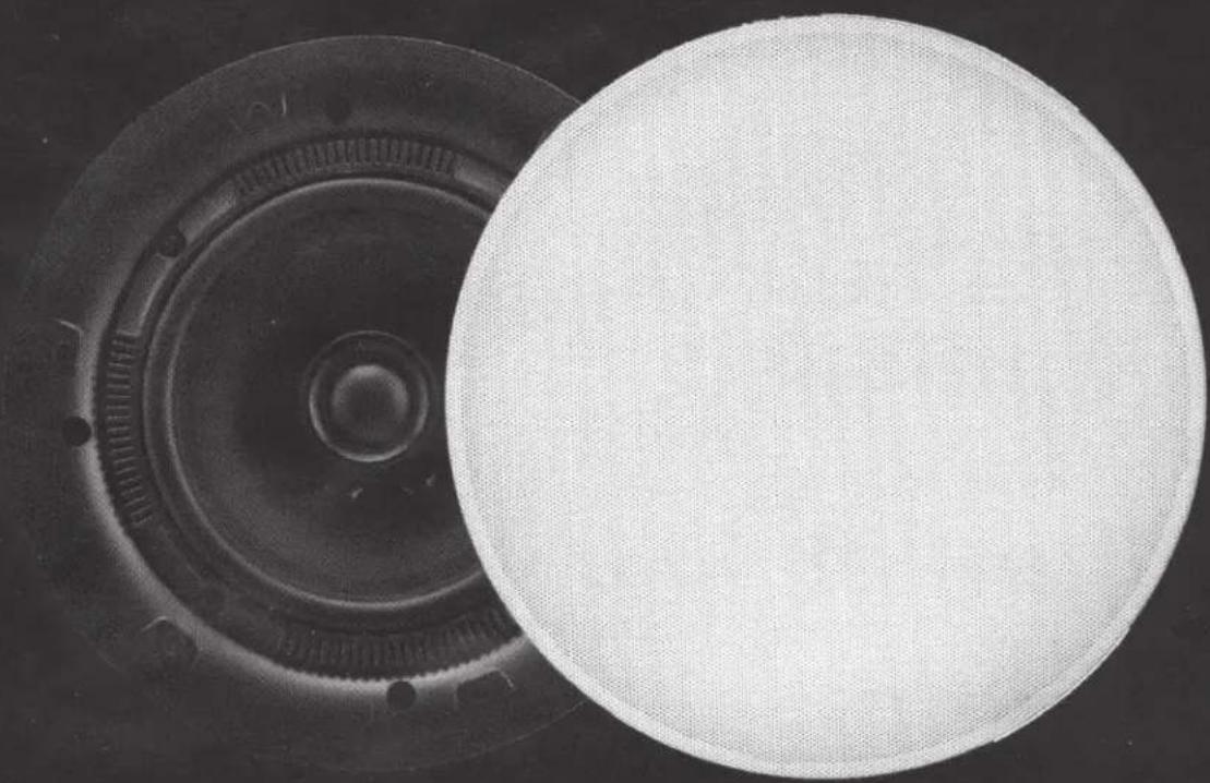 Close-up of a circular object with concentric rings and a textured surface, no visible text or symbols.