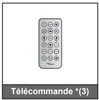 Télécommande *(3)