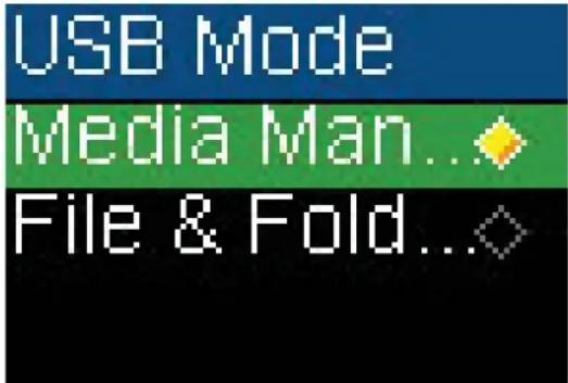 USB Mode Media Man... File & Fold...