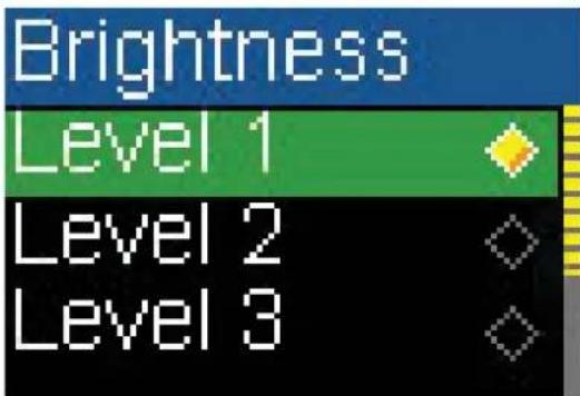 Brightness Level 1 Level 2 Level 3