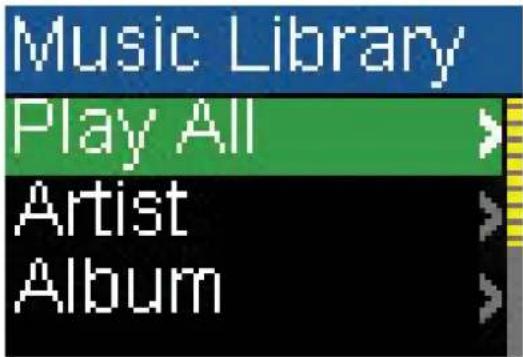 Music Library Play All Artist Album