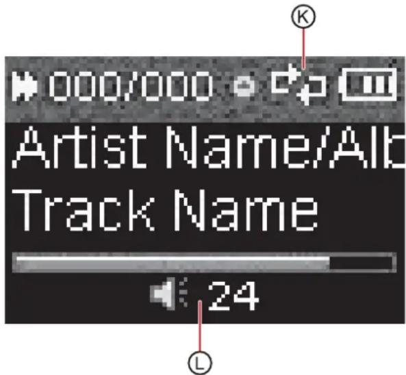 000/000 Artist Name/Alb Track Name 24 L