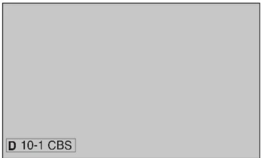 D 10-1 CBS