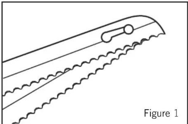 SUNBEAM Carveasy Twinblade EK6000 - Using your Sunbeam Carveasy™ Twin Blade - 1